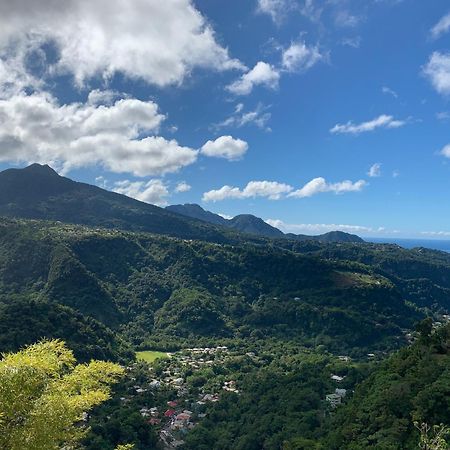 Le Petit Paradis Roseau Eksteriør bilde
