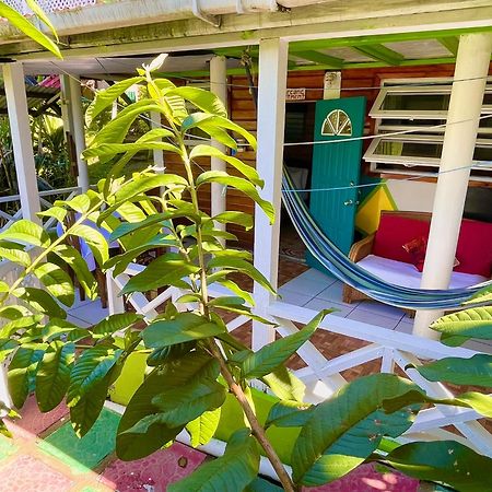 Le Petit Paradis Roseau Eksteriør bilde