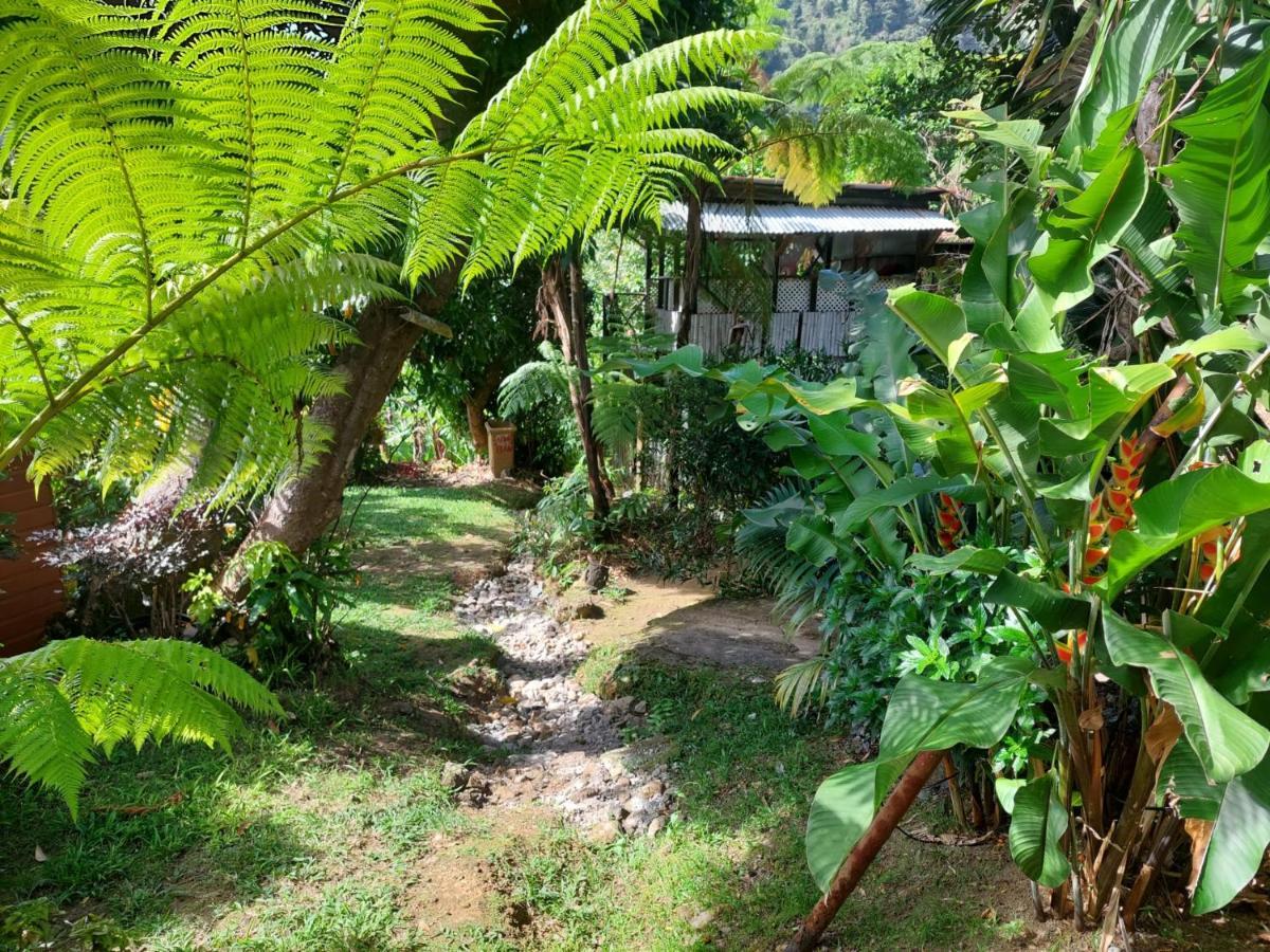 Le Petit Paradis Roseau Eksteriør bilde